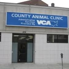 County Animal Clinic